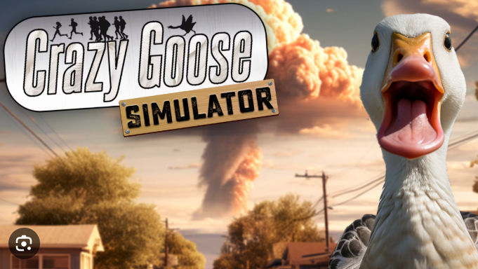 Crazy Goose Simulator